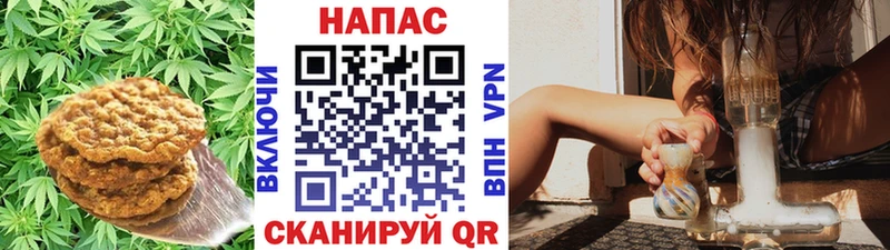 кракен ссылки  где найти   Камышин  Cannafood конопля 