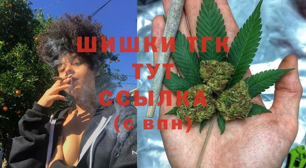 бутират Гусь-Хрустальный