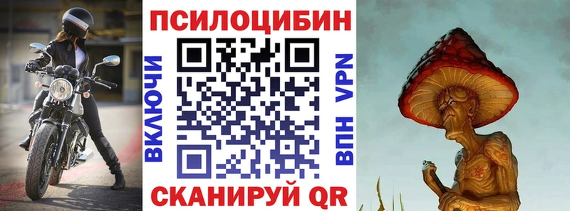 где найти наркотики  кракен   Галлюциногенные грибы мицелий  Камышин 